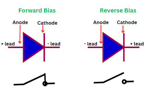 diode-in-forward-and-reverse-bias